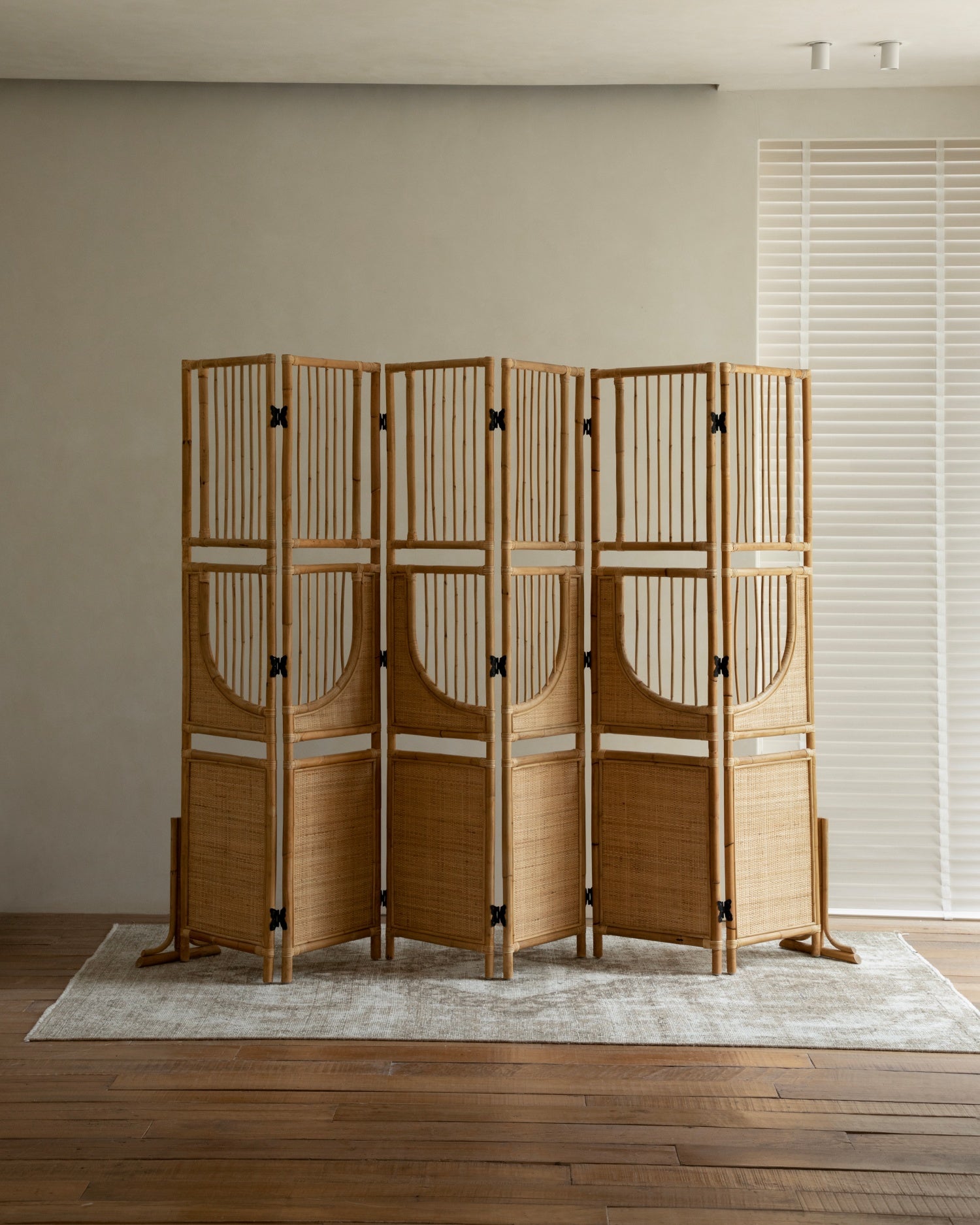 Sunlit Rattan Screen