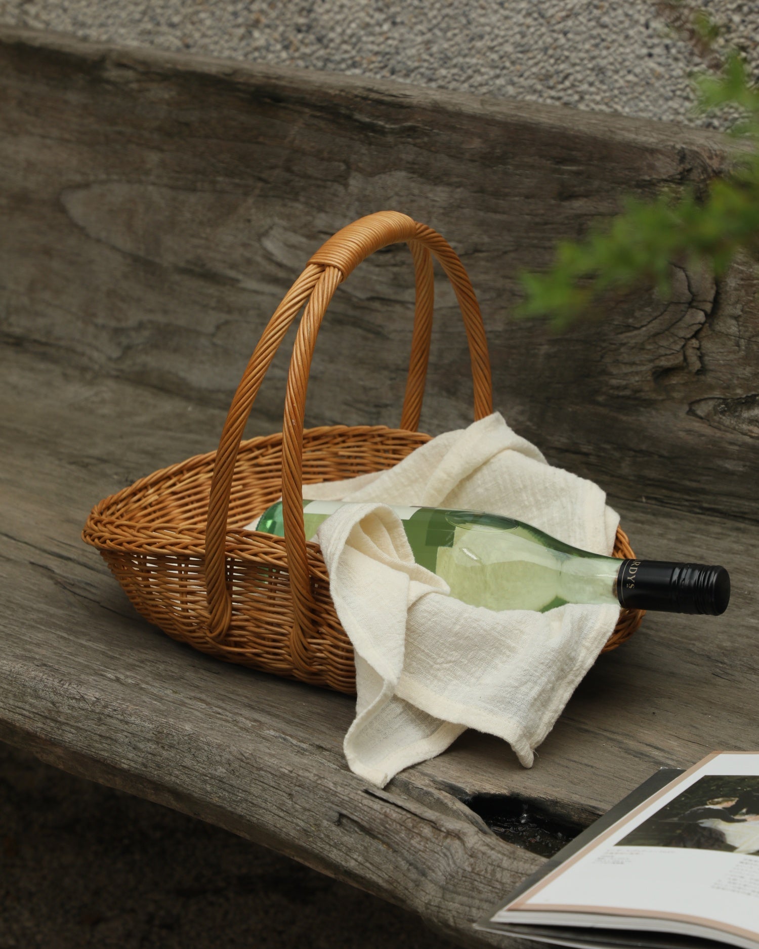 Venus Gathering Basket