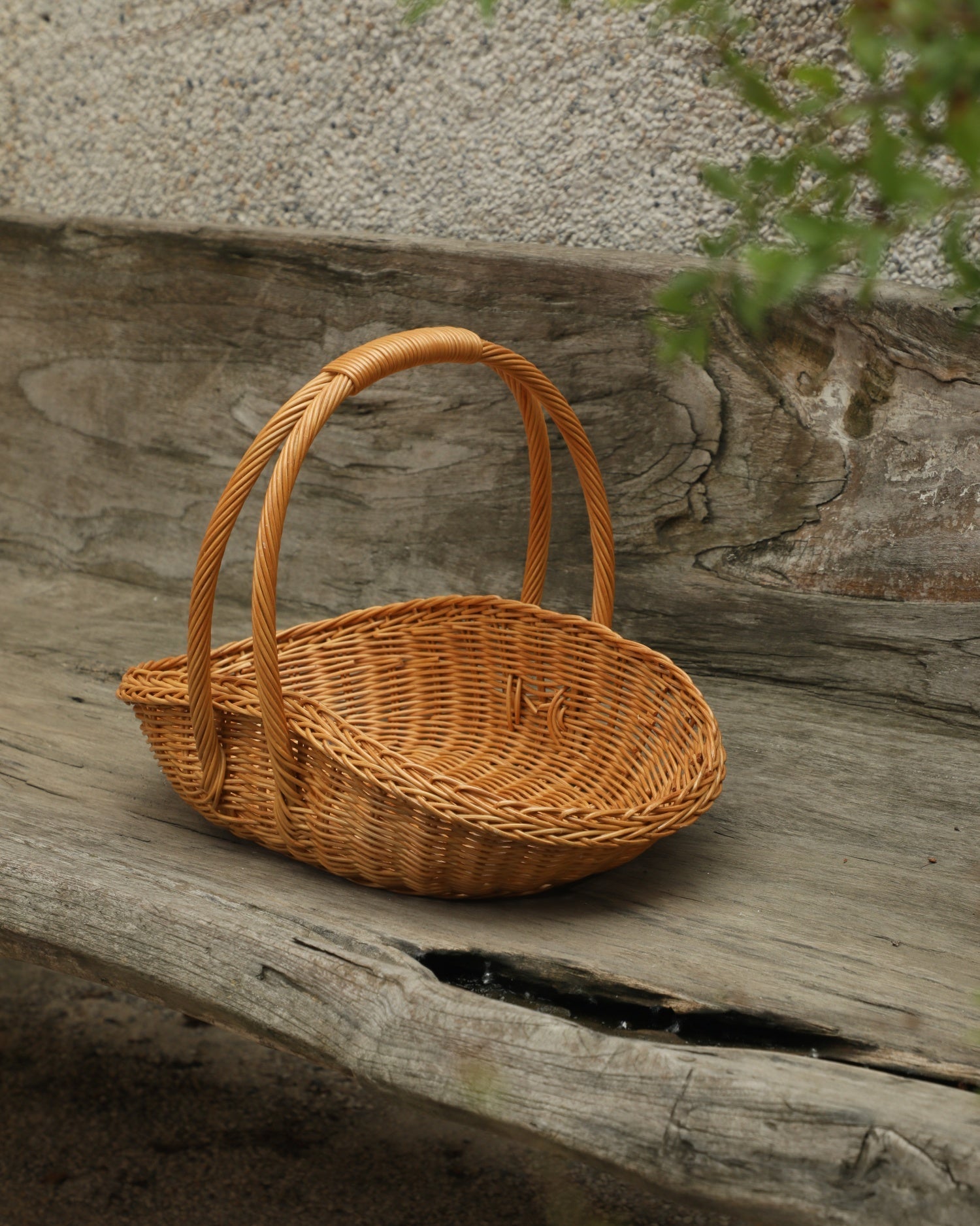 Venus Gathering Basket