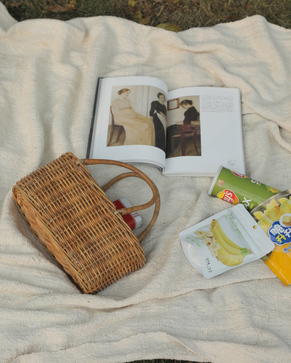 Ann rattan handbag with curved handle on a picnic blanket beside an open book and snacks