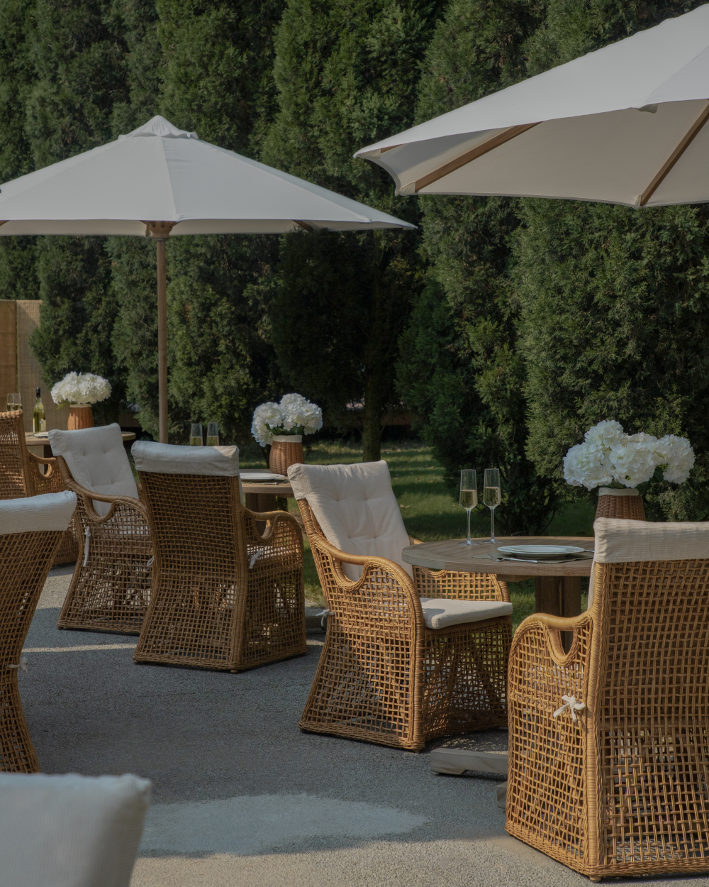 Serena Rattan Chair