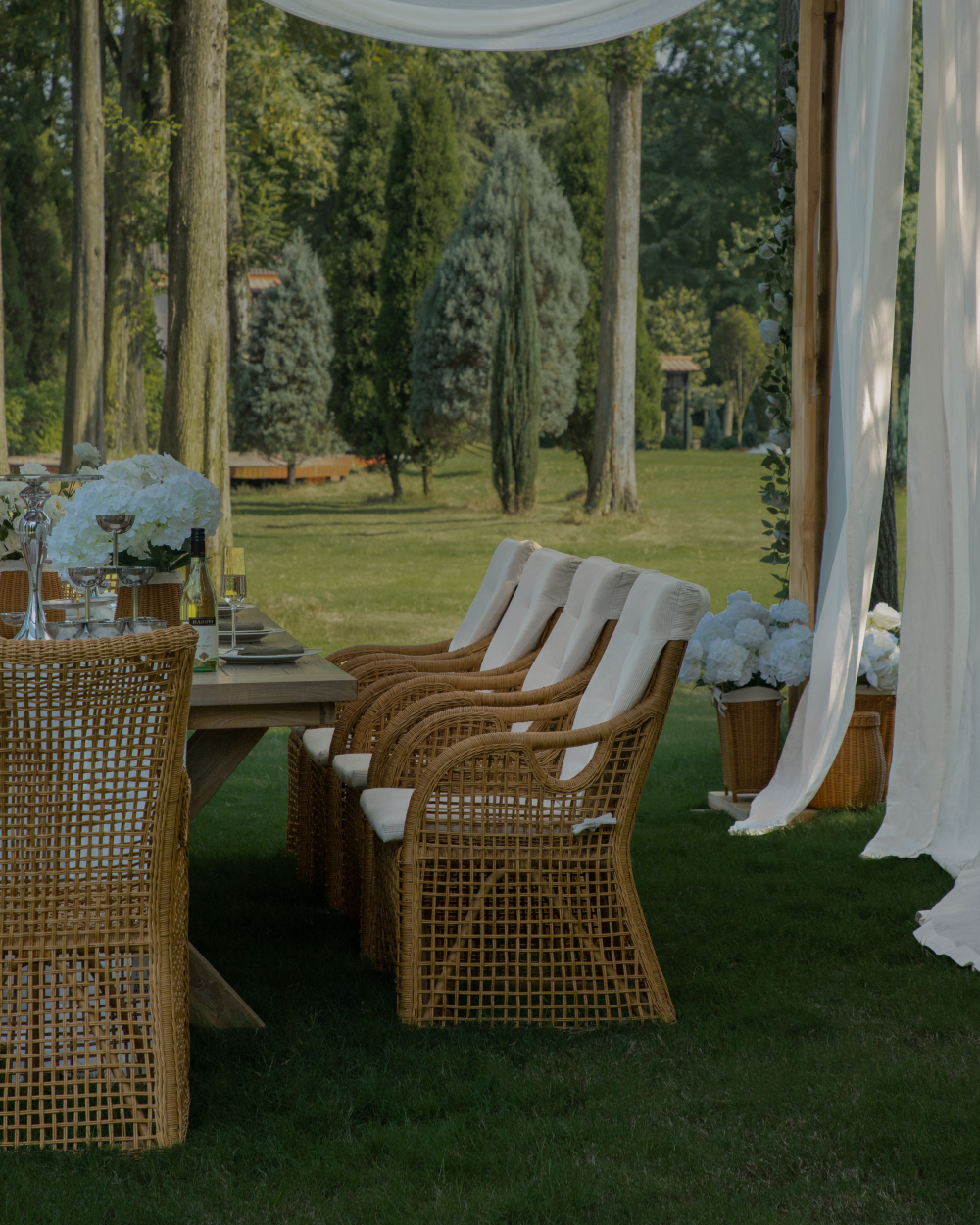 Serena Rattan Chair