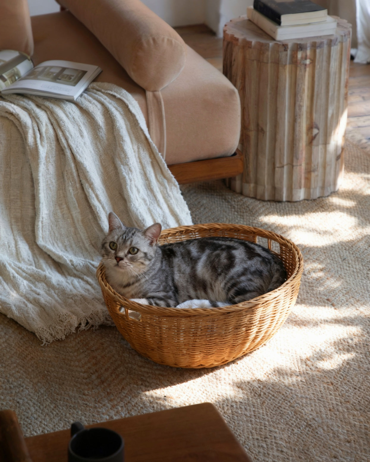 Dottie Basket: Natural woven rattan with tabby cat, cozy home decor accent.