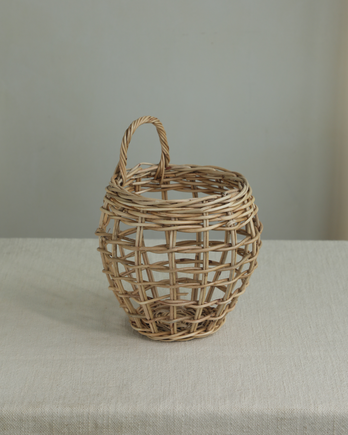 Cove Hanging Basket