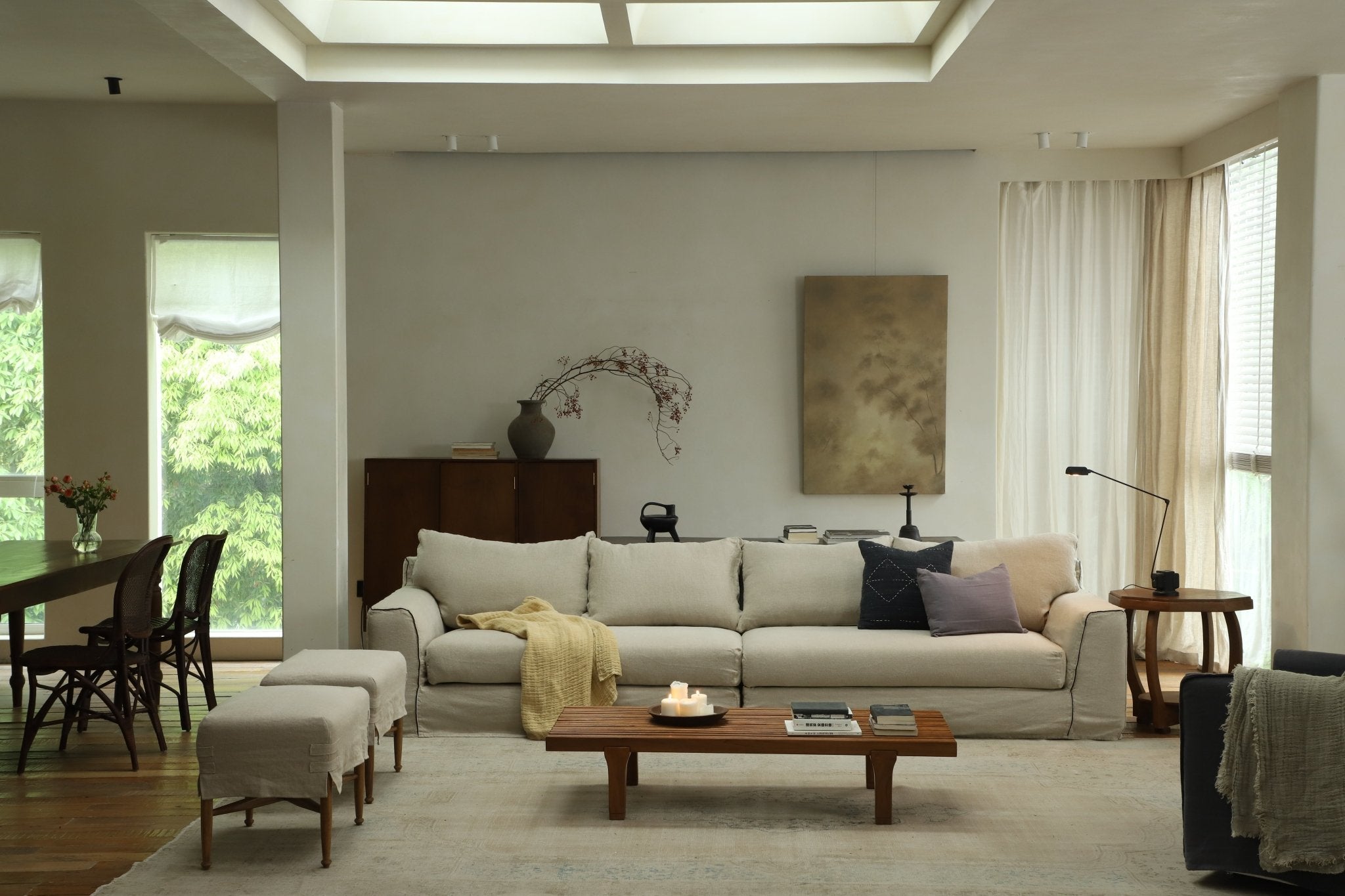 How to Get Pet Hair and Dander Out of a Couch? - ZM Home