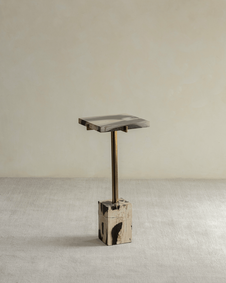 Lolli Petrified Wood Side Table - ZM Home