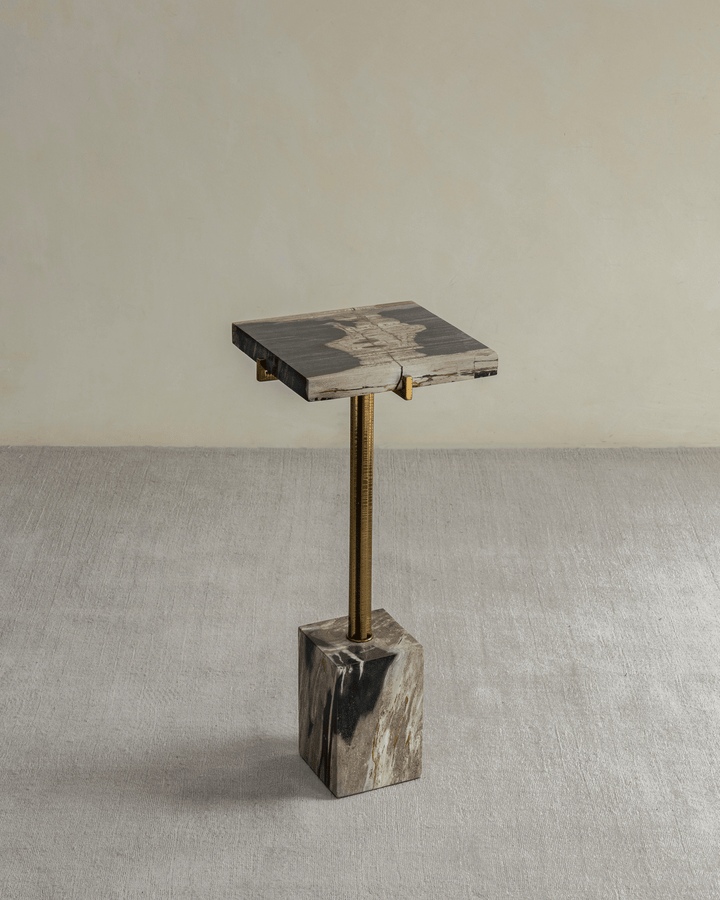 Lolli Petrified Wood Side Table - ZM Home