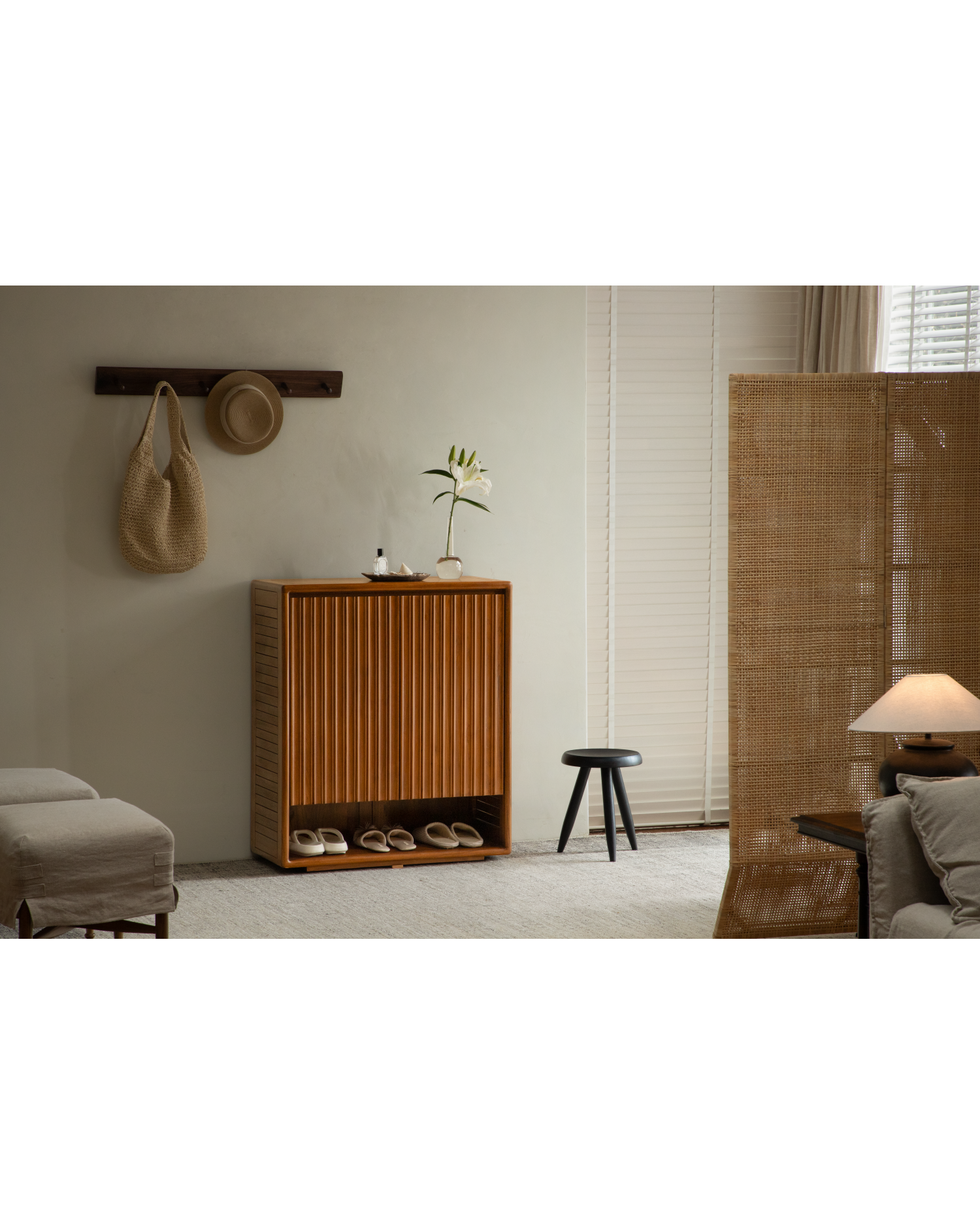 Remi Shoe Storage Cabinet