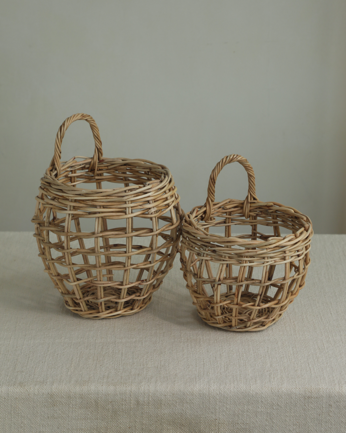 Cove Hanging Basket