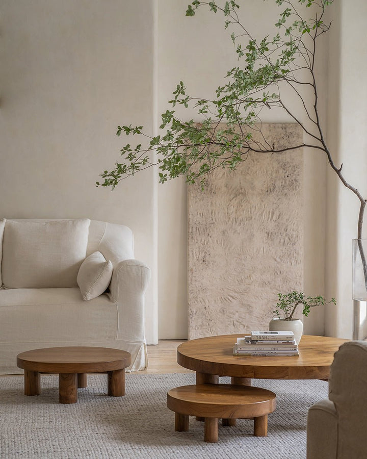 Miya Coffee Table Sets in a modern vintage living room with a beige sofa and decorative plant.